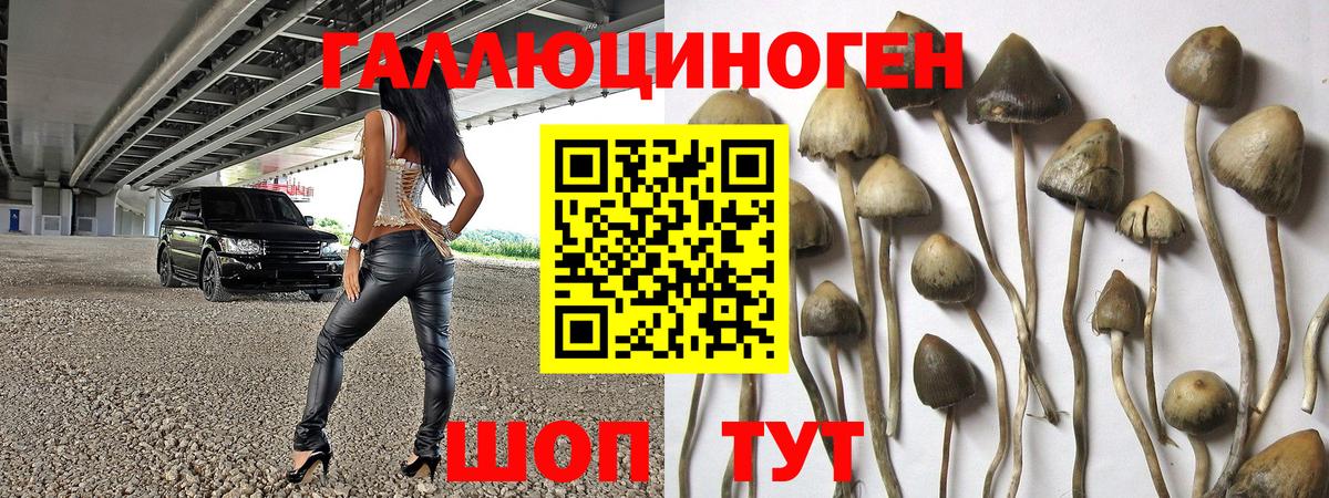 Псилоцибиновые грибы Psilocybe  Вход с VPN  Тейково  где можно купить наркотик  Псилоцибиновые грибы Cubensis 